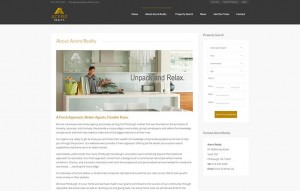 pittsburgh-web-design-acero-realty-about