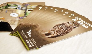 pittsburgh-print-design-national-aviary-brochures